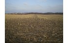 Property photo 5 - 71 Acres Offered in 2 Tracts